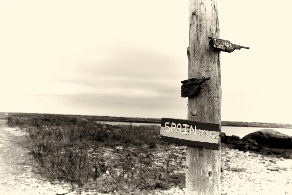 A signpost with arrows pointing in different directions