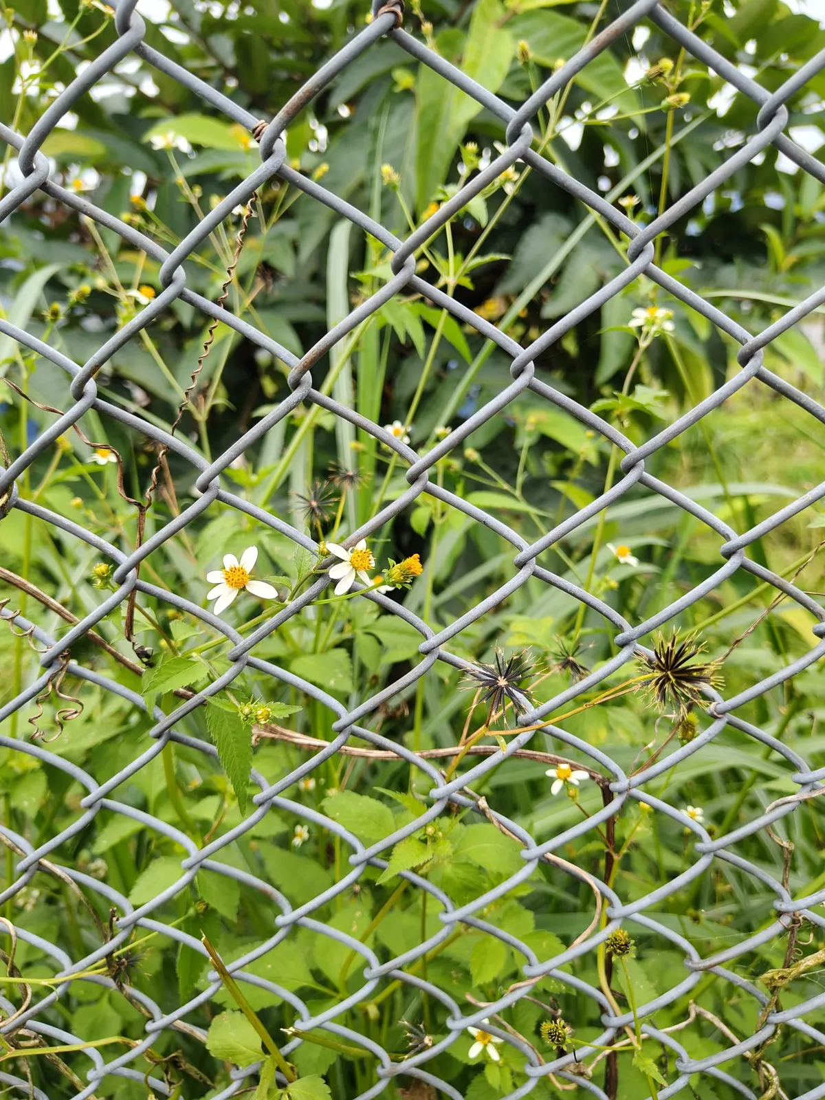 A metal chain, representing a token refresh chain that breaks at a single weak link